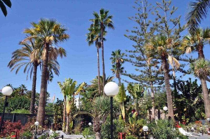 San Valentin & Terraflor Park Hotel Playa del Inglés Eksteriør billede