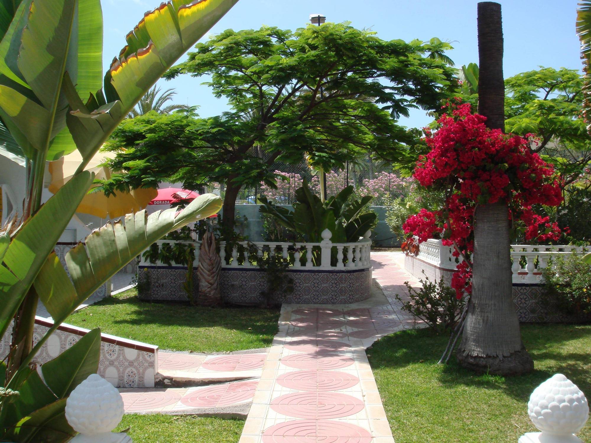 San Valentin & Terraflor Park Hotel Playa del Inglés Eksteriør billede